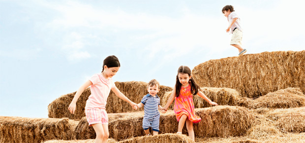 A importância de cultivar a compaixão