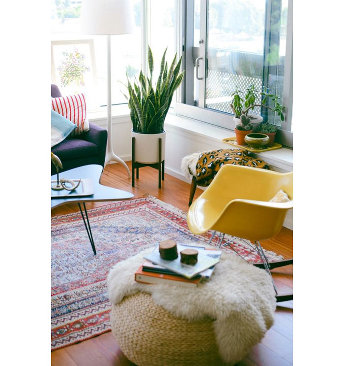 03-plantas-que-purificam-o-ar-segundo-a-nasa