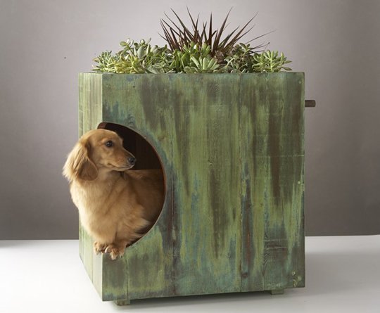 Casinha para pets 3