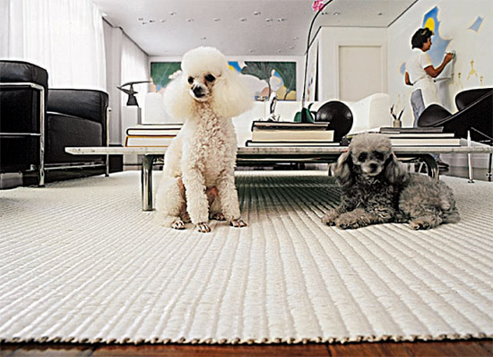 Um t&iacute;tulo para uma foto sem titulo