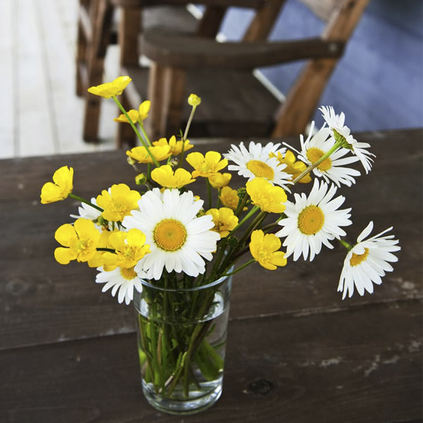 Significado das flores na decoração; buquê de margaridas em copo de vidro