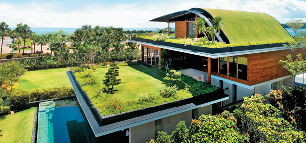 Casa com telhado verde e muita, muita, muita grama