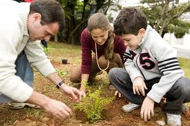 Movimento Boa Praça procura voluntários