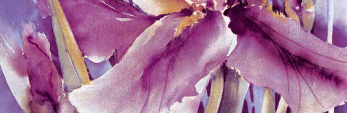 A Portinari lan&ccedil;ou na Revestir uma linha de cer&acirc;micas com motivos florais. ...