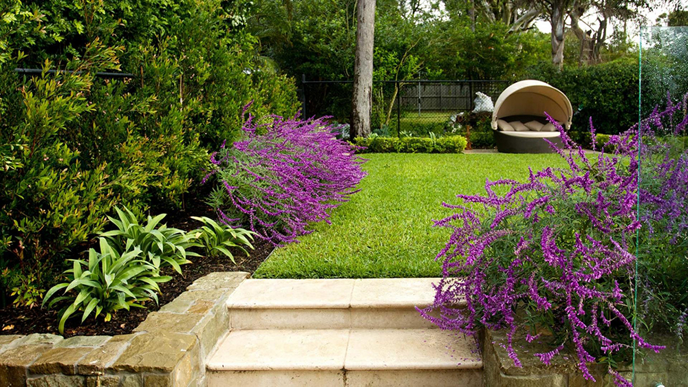jardim-joanne-green-com-planta-de-chia-e-degraus