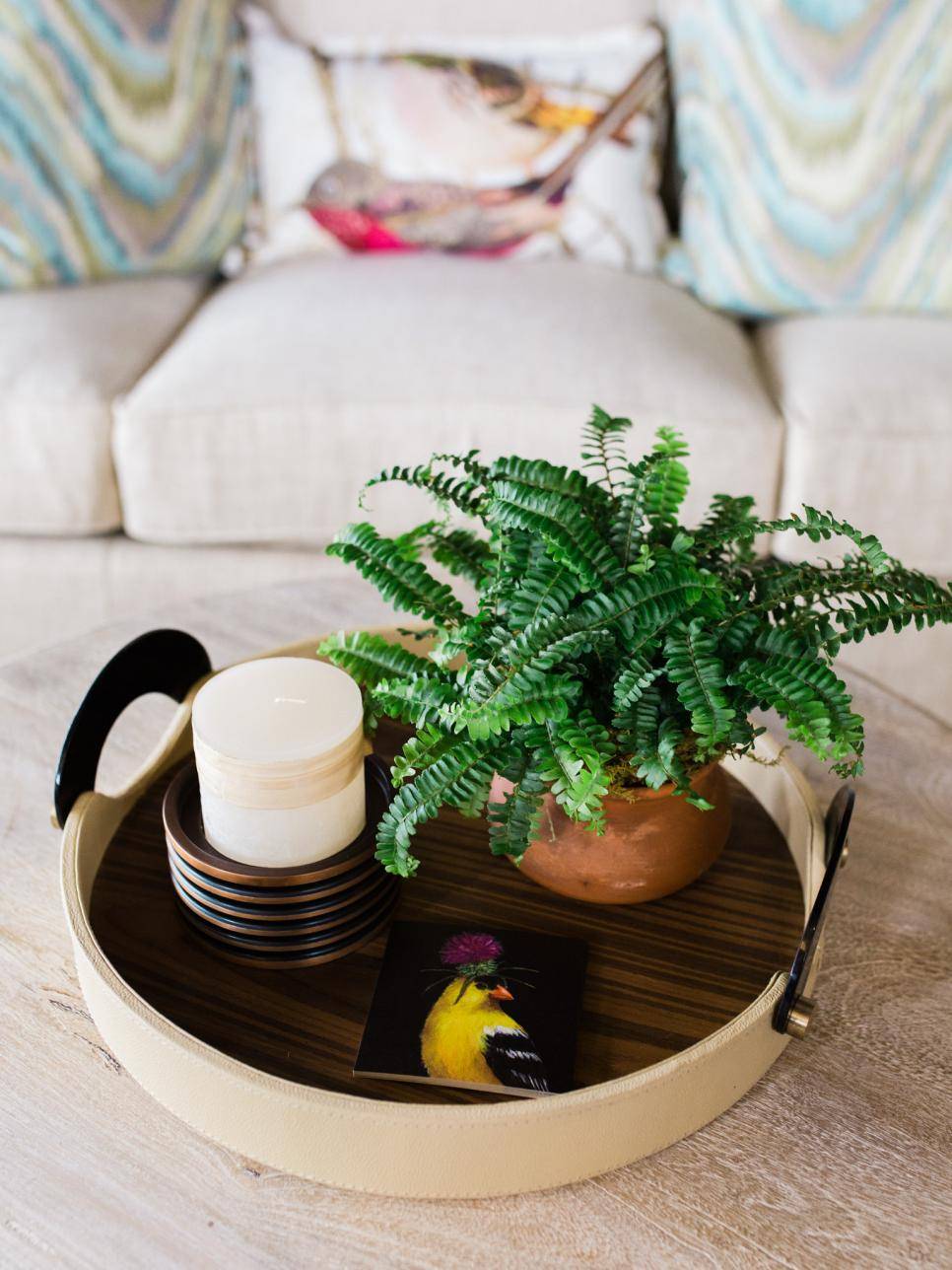 10 motivos para você ter mais plantas em casa