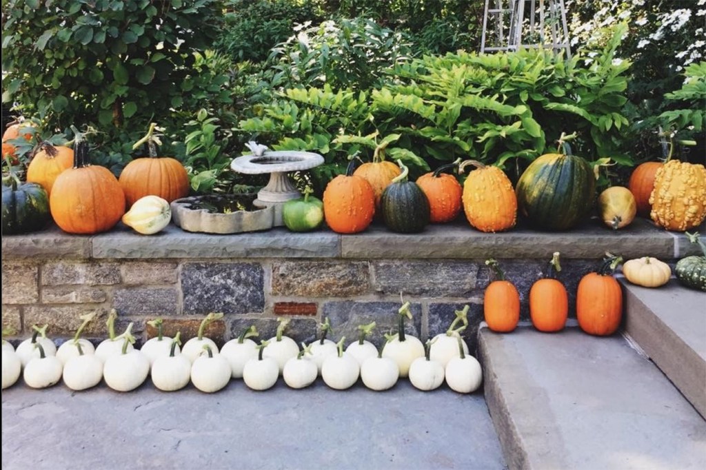 10 celebridades que entraram na onda da decoração de Halloween