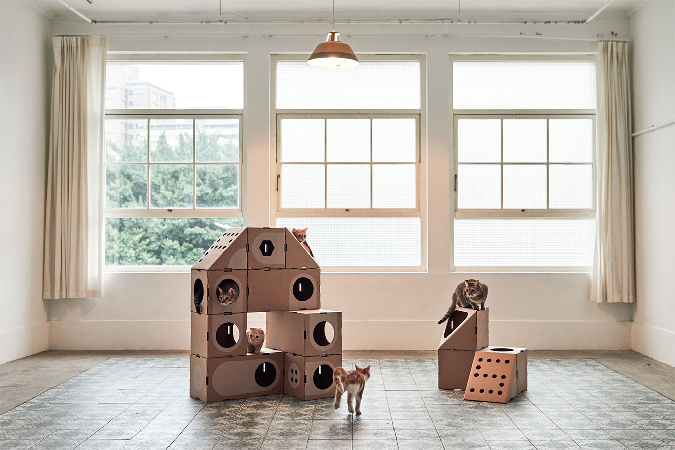 torres para gatos de papel&atilde;o