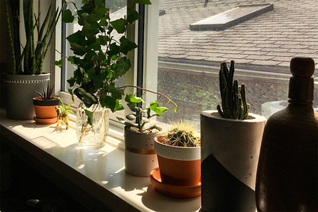 8 formas de aproveitar melhor o parapeito da janela