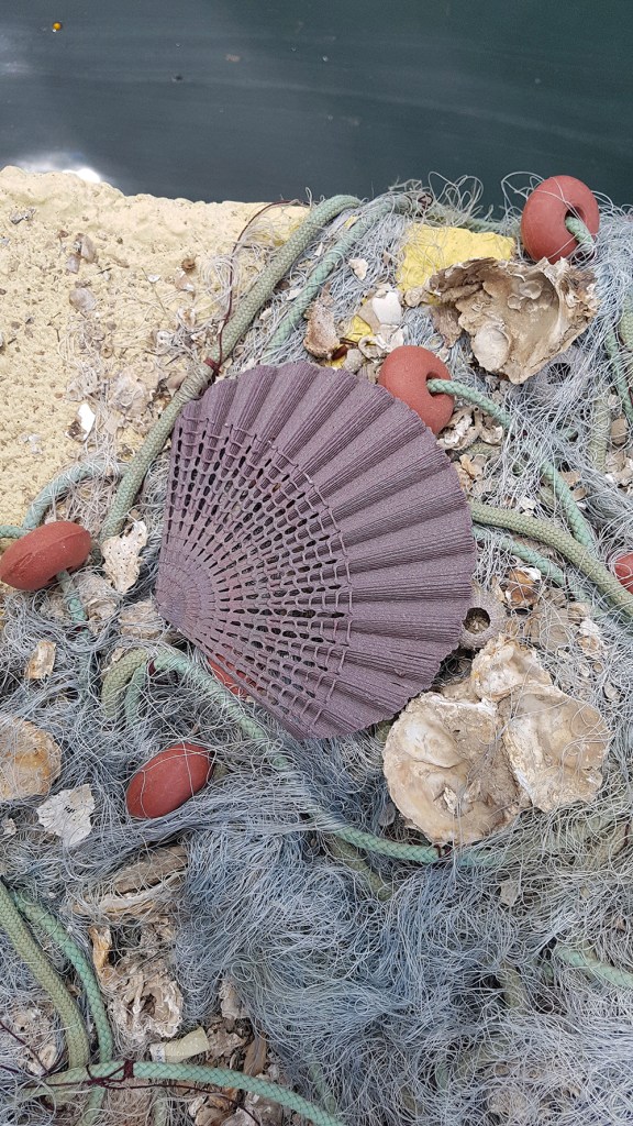 2_The-New-Raw_Second-Nature_seashell_Pecten-Jacobeaus-©The-New-Raw