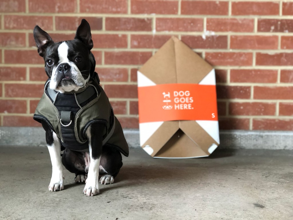dog-goes-here-rocky-brooks-design_dezeen_2364_col_14 dog-goes-here-rocky-brooks-design_dezeen_2364_col_14