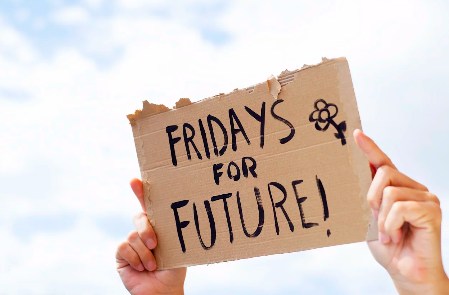 fridays-for-future