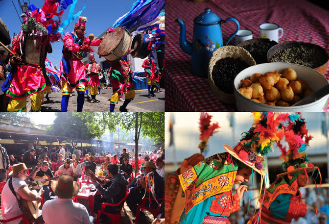 Parque da Água Branca sedia 350 atividades gratuitas do Revelando SP