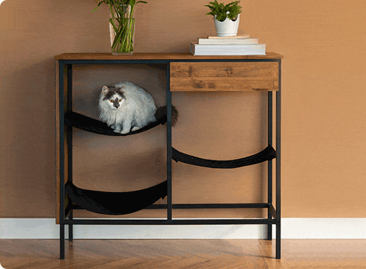 Animais resgatados das ruas estrelam campanha de móveis para pets