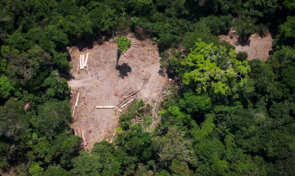 AmazoniaDesmatamento-1200×720 AmazoniaDesmatamento-1200×720