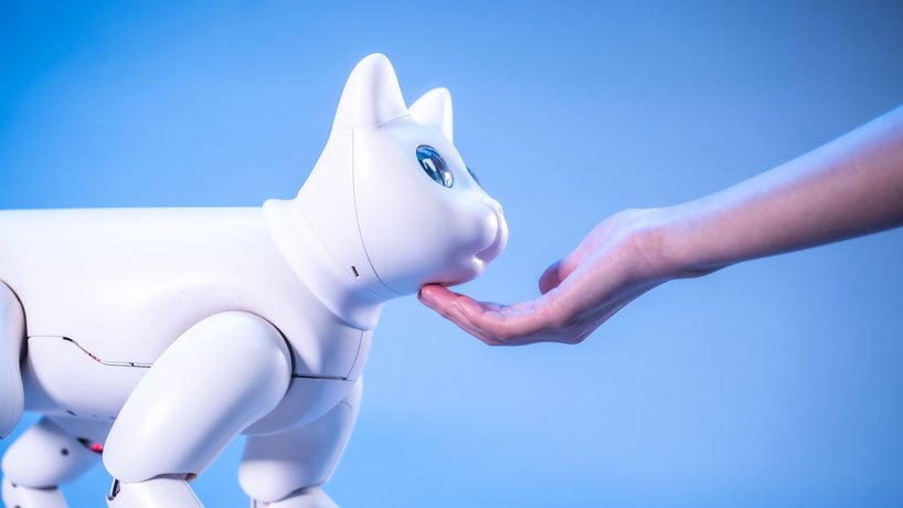 Marscat: conheça o primeiro gato robô biônico do mundo!