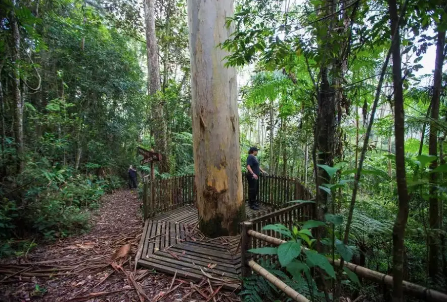 parques-naturais-sp3-910×622 parques-naturais-sp3-910×622