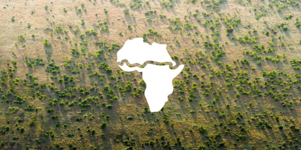 África ergue maior estrutura viva da Terra: uma muralha de árvores!