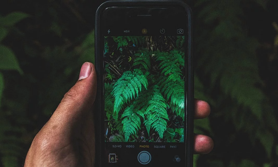 app-plantas-1068×646 app-plantas-1068×646