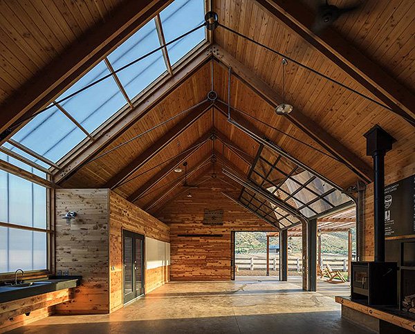 Coníferas consideras pragas viram centro de convivência sustentável