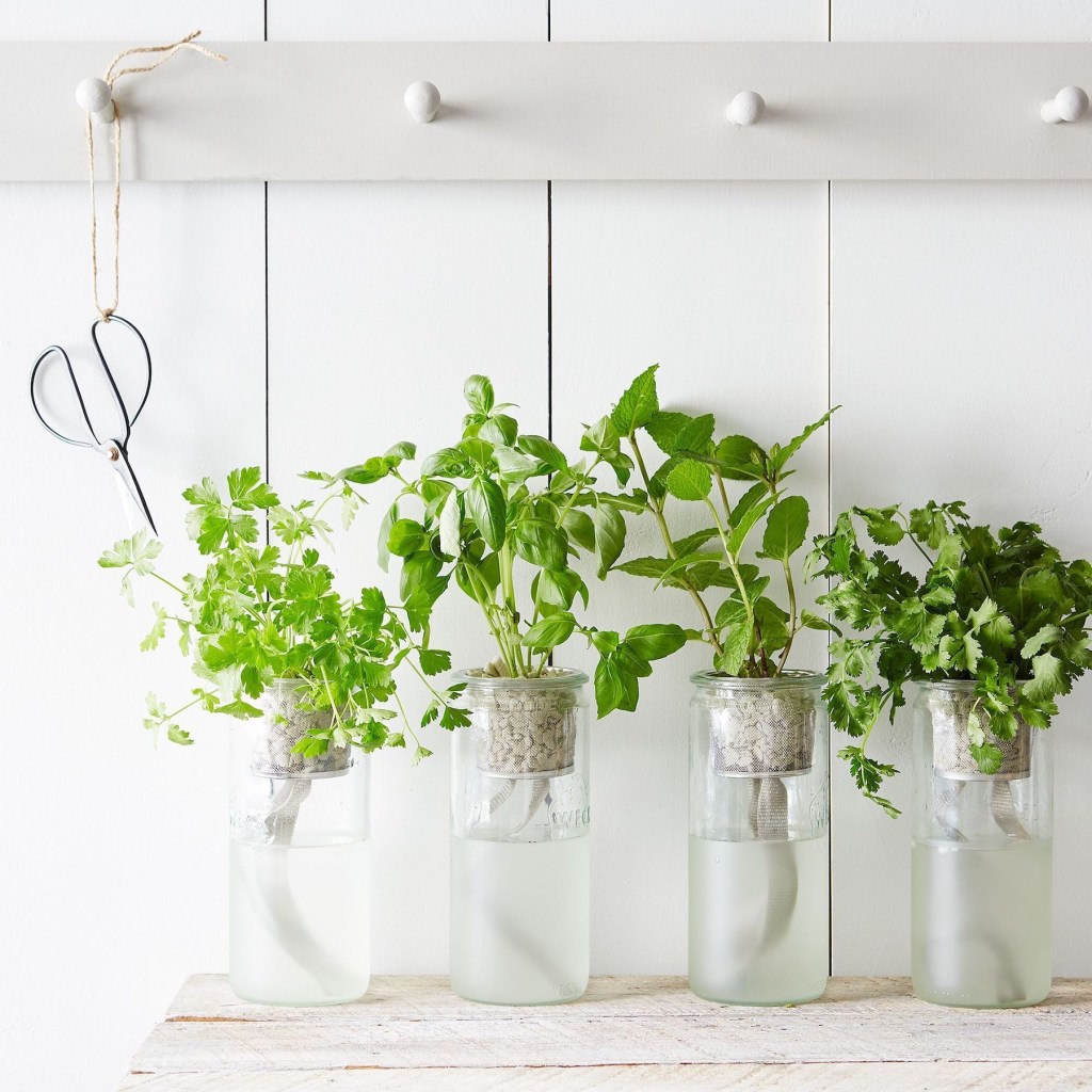 Everything You Need to Start a Low-Maintenance Windowsill Herb Garden