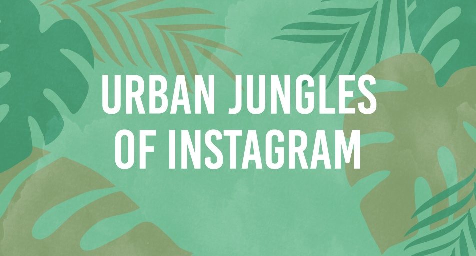 Estudo aponta as capitais e os influenciadores mais Urban Jungles do mundo