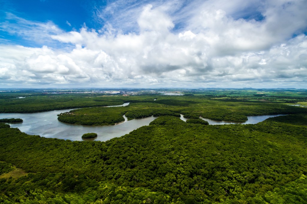 Aerial Shot of Amazon rainforest in Brazil, South America