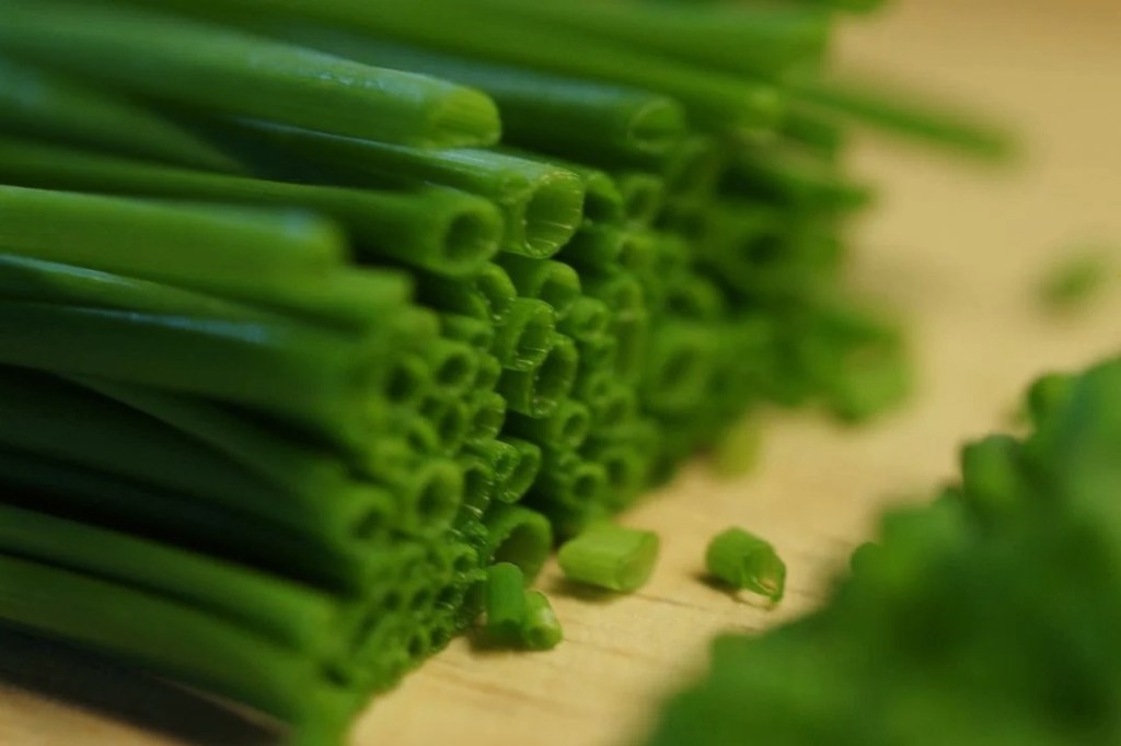 Saiba como plantar cebolinha em casa