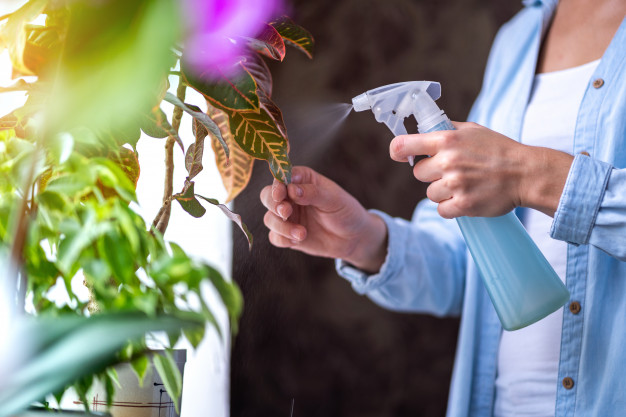 dicas-para-cuidar-de-plantas-casacom-3 dicas-para-cuidar-de-plantas-casacom-3