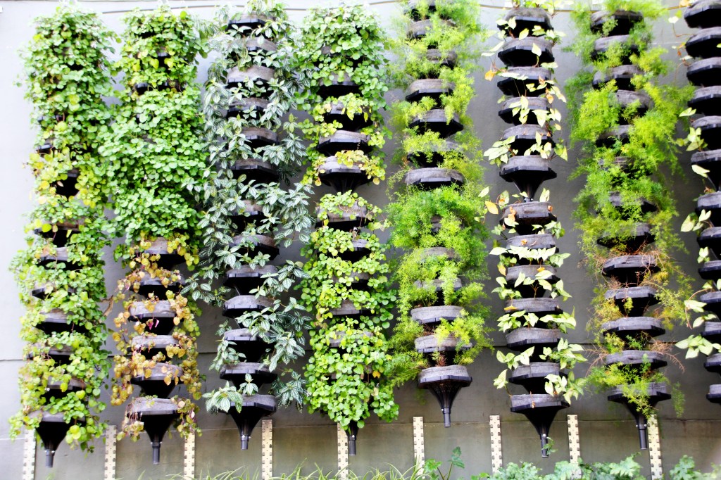 Brise-vegetal-o-que-é-e-quais-os-benefícios-casa.com-1 Brise-vegetal-o-que-é-e-quais-os-benefícios-casa.com-1