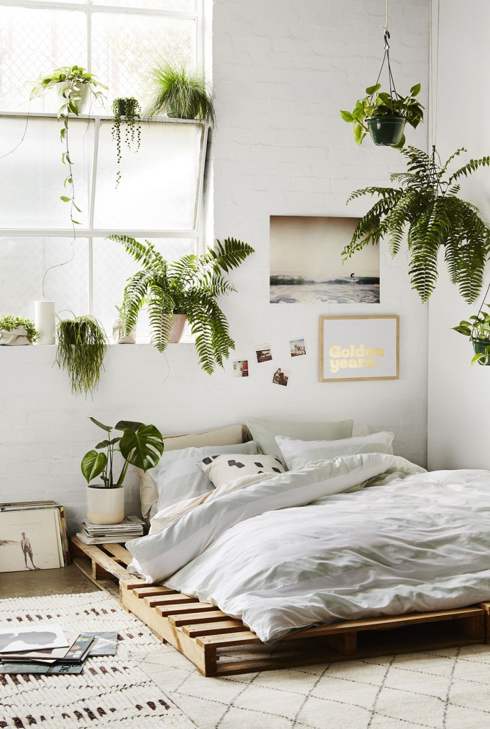 plantas-no-quarto-dicas4