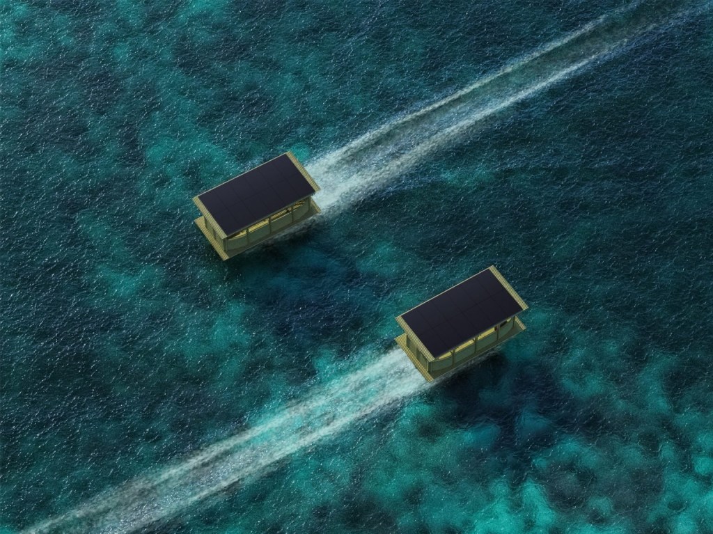 taxi-aquatico-bambu2
