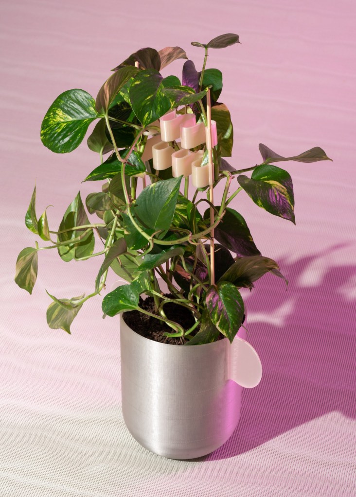 vaso-design-sustentavel vaso-design-sustentavel