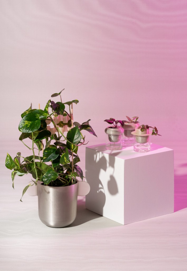 vaso-flor-sustentavel-design vaso-flor-sustentavel-design