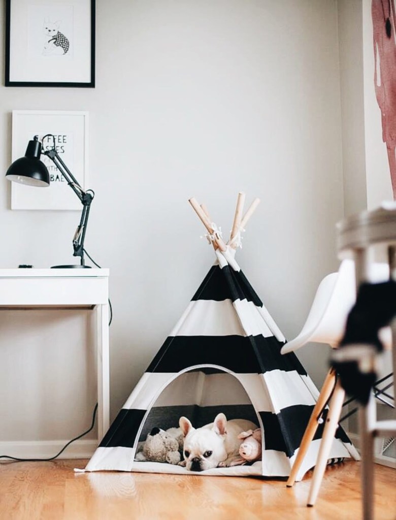 cabana-para-pet-pinterest