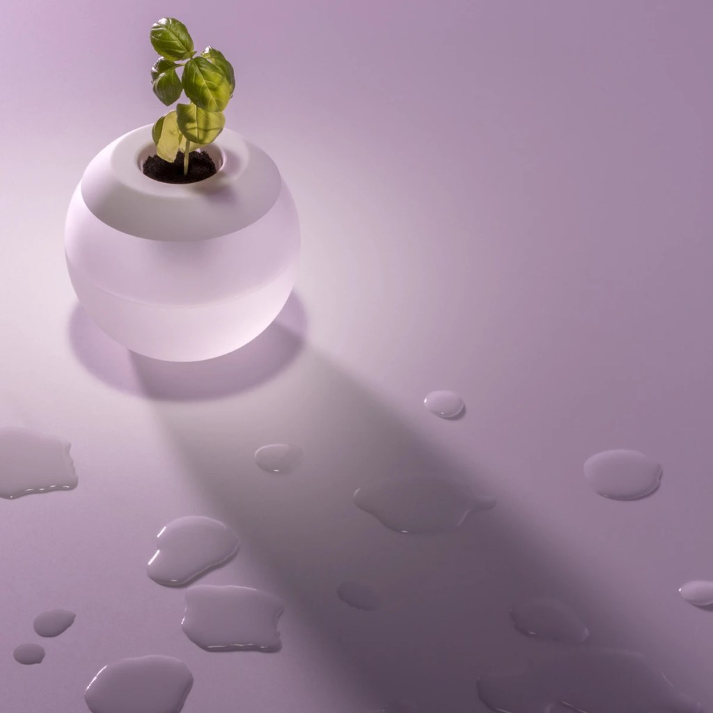 Hydropod, um vaso em formato de esfera, com a parte inferior transparente com água; A tampa é branca com um buraco, onde a semente é plantada.
