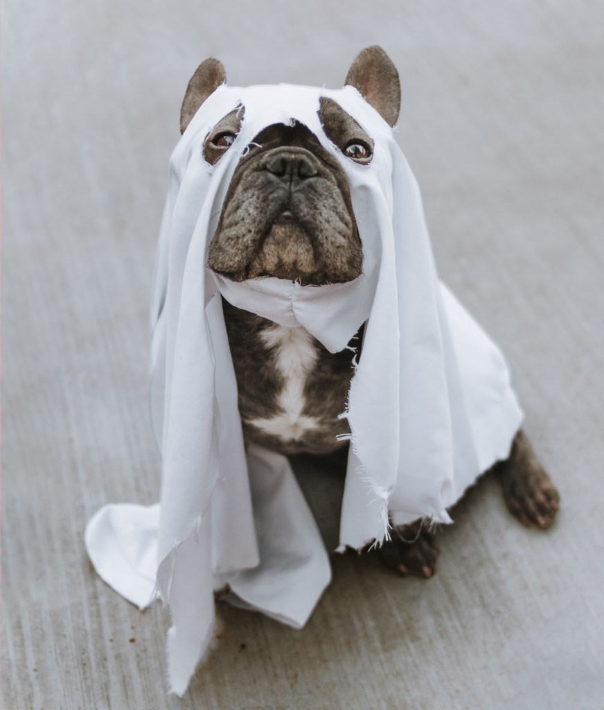 sarah-shull-Uy70zMCw-4c-unsplash sarah-shull-Uy70zMCw-4c-unsplash