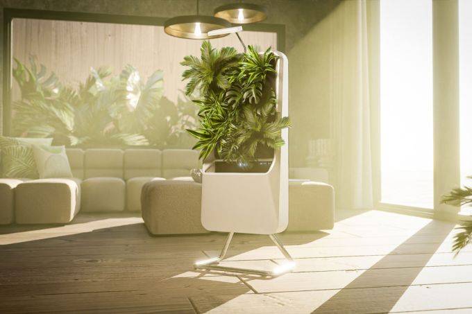 Horta inteligente purifica o ar de ambientes internos