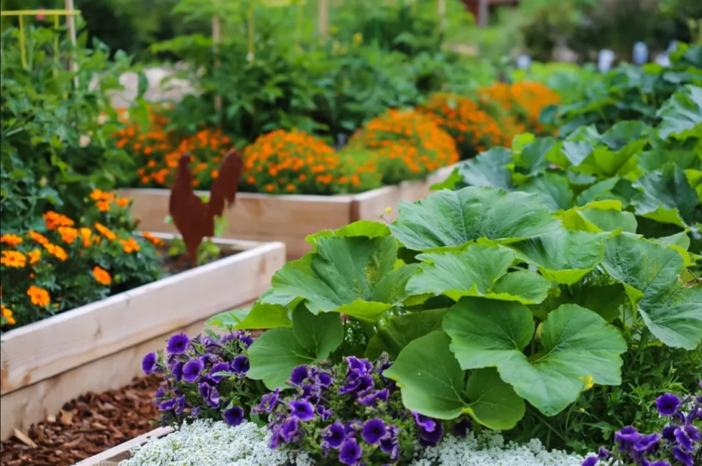 jardim com folhas exuberantes. Canteiros com pequenas flores laranjas ao fundo