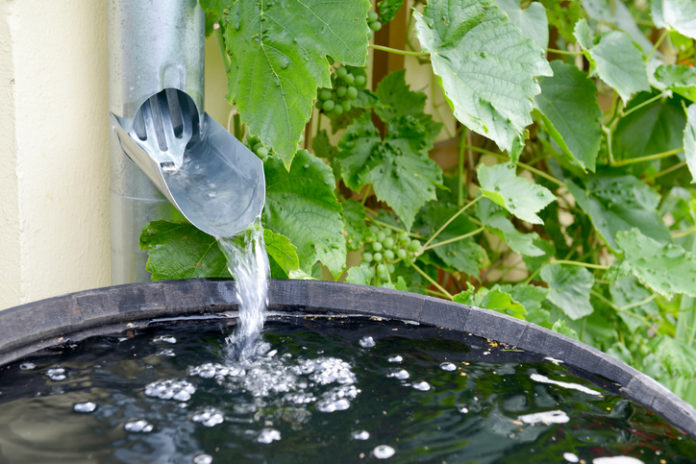 rain barrel