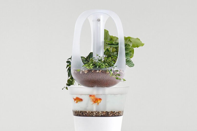 Este-vaso-usa-um-aquário-para-cultivar-plantinhas-designbloom 03 Este-vaso-usa-um-aquário-para-cultivar-plantinhas-designbloom 03