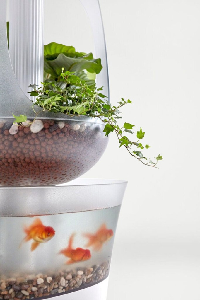 Este-vaso-usa-um-aquário-para-cultivar-plantinhas-designbloom 04 Este-vaso-usa-um-aquário-para-cultivar-plantinhas-designbloom 04