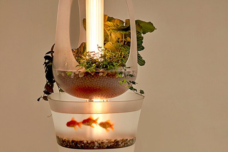 Este-vaso-usa-um-aquário-para-cultivar-plantinhas-designbloom 08 Este-vaso-usa-um-aquário-para-cultivar-plantinhas-designbloom 08