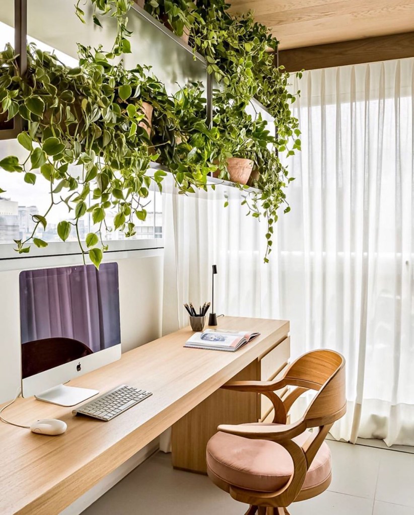 Lista-de-plantas-que-limpam-o-ar-segundo-a-NASA-designboom 19