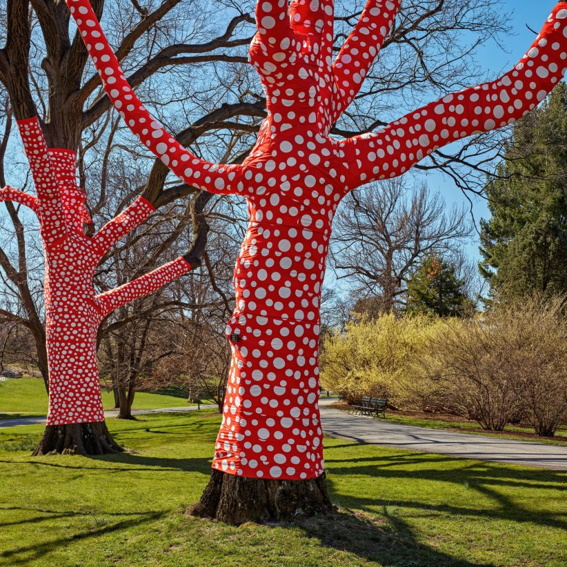 Yayoi Kusama