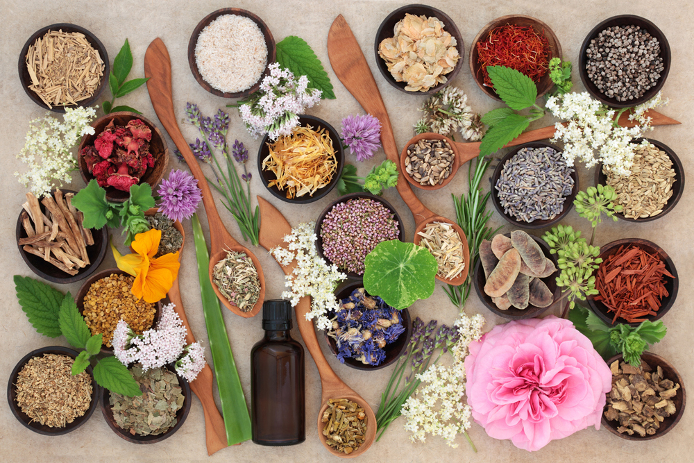horta-medicinal-ervas-ciclo-vivo-iStock horta-medicinal-ervas-ciclo-vivo-iStock