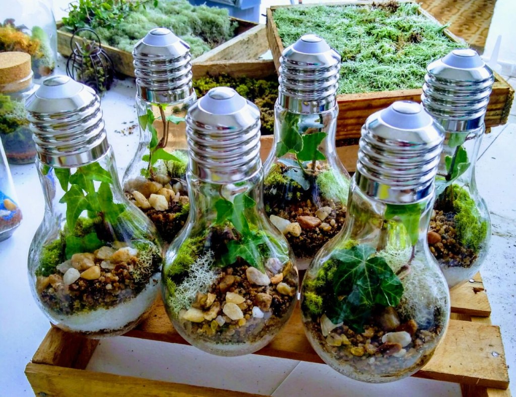 Como-fazer-um-terrário-com-lâmpada-elo7-02