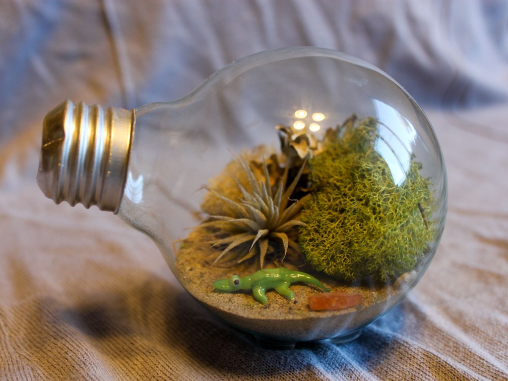 Como-fazer-um-terrário-com-lâmpada-pinterest-03