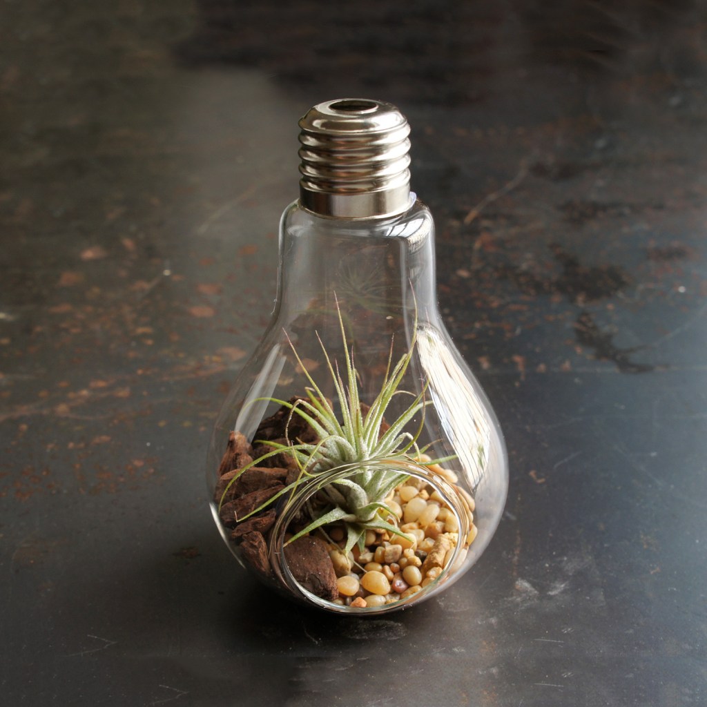 Como-fazer-um-terrário-com-lâmpada-touchofmodern-08