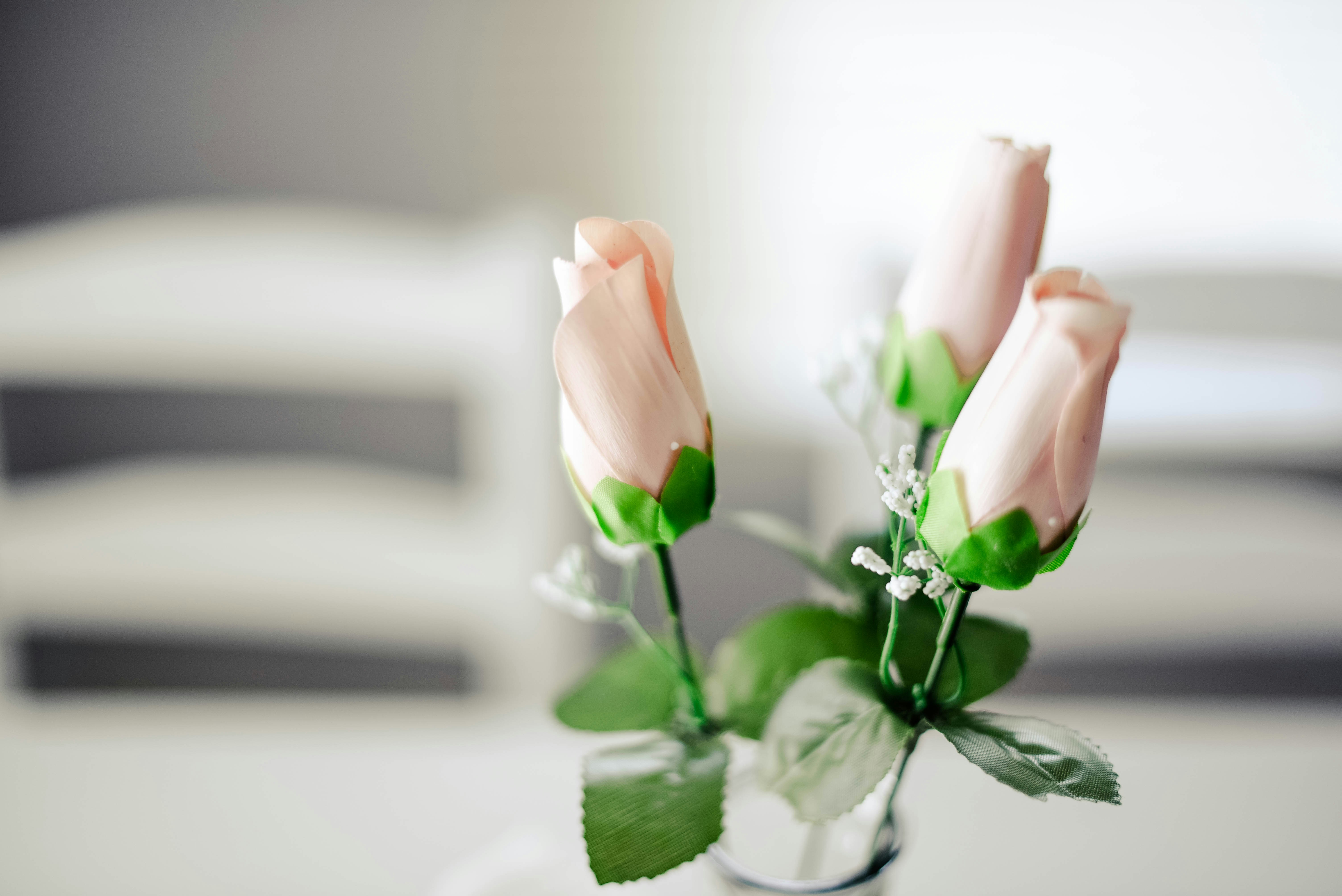 Flores Permanentes conquistam cada vez mais espa&ccedil;o na decora&ccedil;&atilde;o